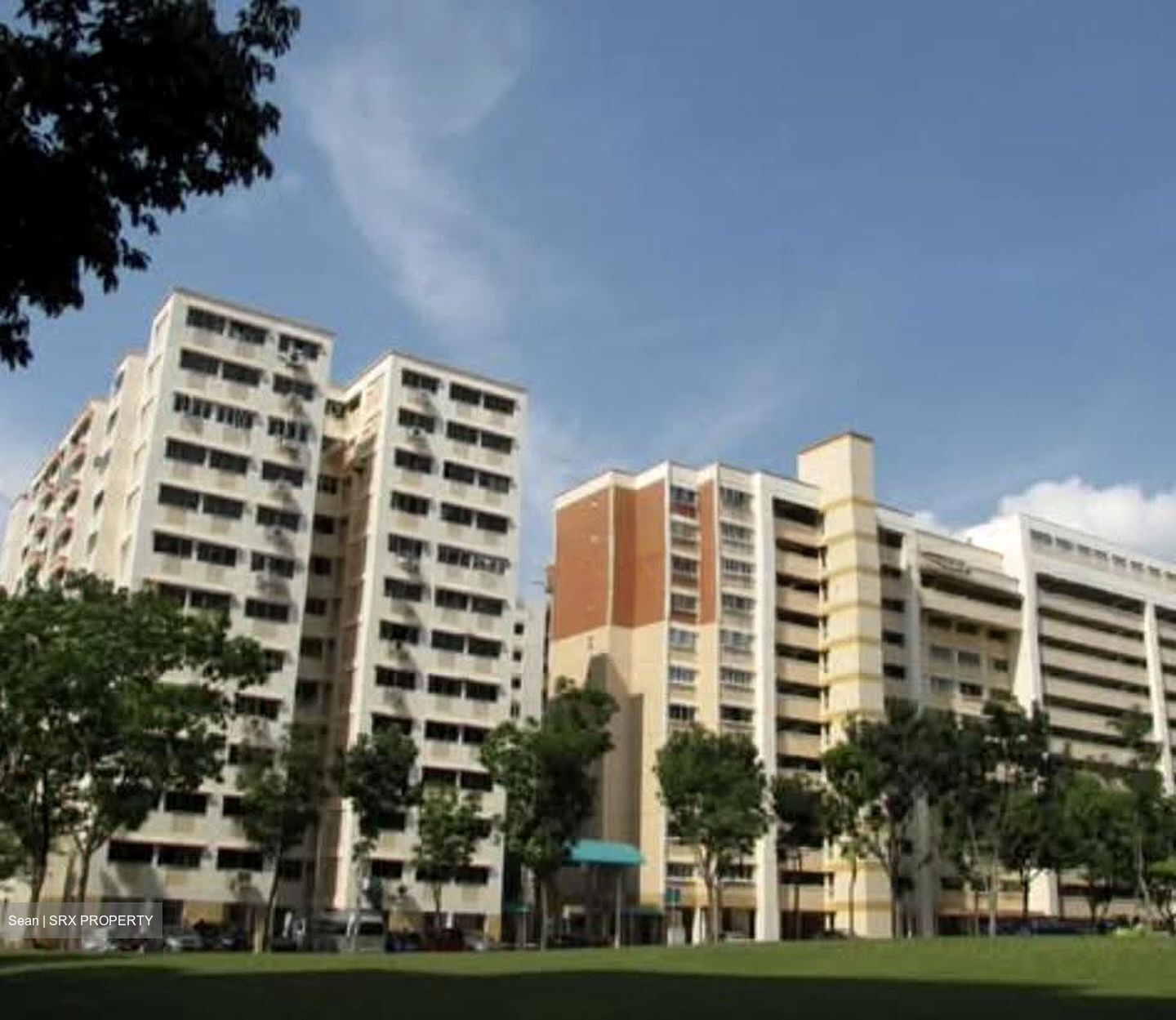 Blk 151 Petir Road (Bukit Panjang), HDB Executive #617703601